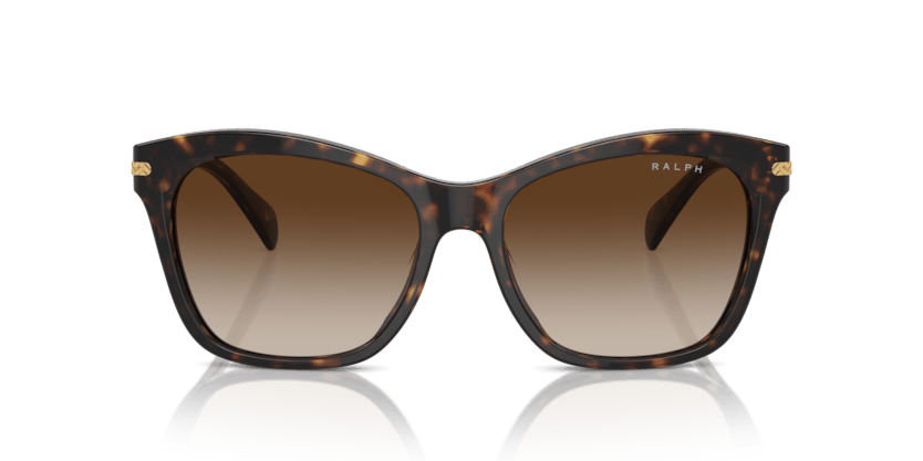 0RA5310U Gradient Brown Shiny Dark Havana 8056262005750