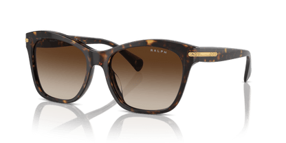 0RA5310U Gradient Brown Shiny Dark Havana 8056262005750