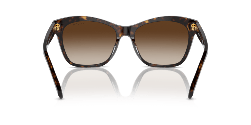 0RA5310U Gradient Brown Shiny Dark Havana 8056262005750