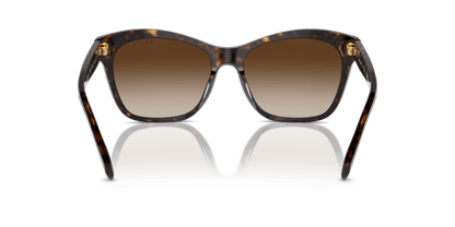 0RA5310U Gradient Brown Shiny Dark Havana 8056262005750