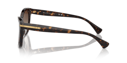0RA5310U Gradient Brown Shiny Dark Havana 8056262005750