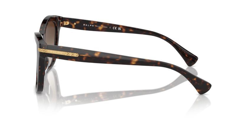 0RA5310U Gradient Brown Shiny Dark Havana 8056262005750