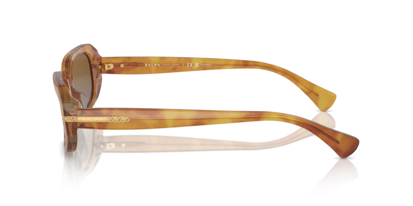 0RA5311U Polar Gradient Brown Shiny Honey Havana 8056262008997