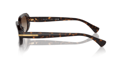 0RA5311U Gradient Brown Shiny Dark Havana 8056262008980