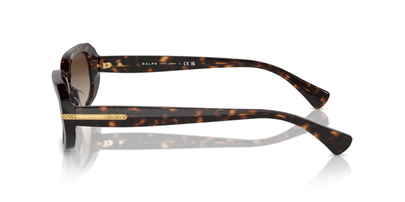 0RA5311U Gradient Brown Shiny Dark Havana 8056262008980