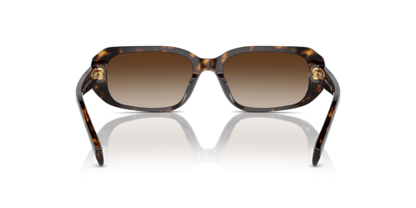 0RA5311U Gradient Brown Shiny Dark Havana 8056262008980