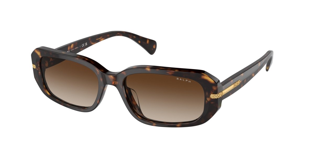 0RA5311U Gradient Brown Shiny Dark Havana 8056262008980