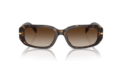 0RA5311U Gradient Brown Shiny Dark Havana 8056262008980