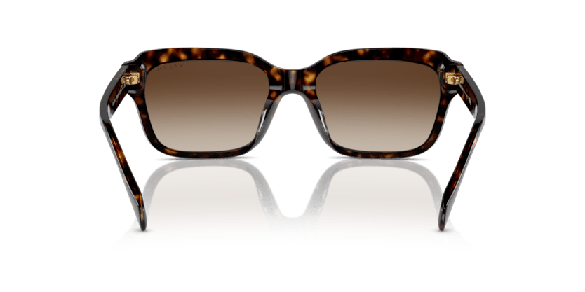 0RA5312U Gradient Brown Shiny Dark Havana 8056262010396