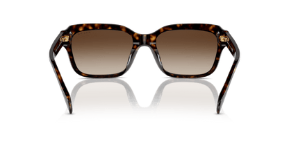 0RA5312U Gradient Brown Shiny Dark Havana 8056262010396