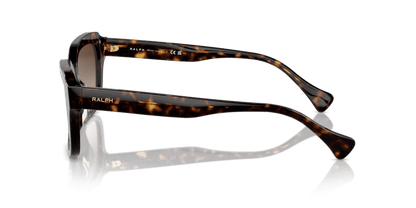 0RA5312U Gradient Brown Shiny Dark Havana 8056262010396