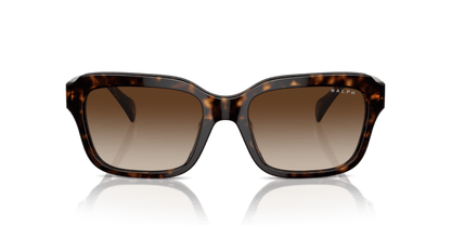 0RA5312U Gradient Brown Shiny Dark Havana 8056262010396