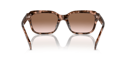 0RA5312U Gradient Brown Shiny Pink Havana 8056262010402