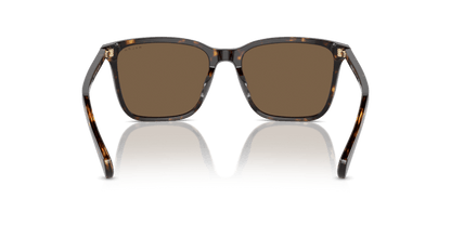 0RA5314U Brown Shiny Dark Havana 8056262011966