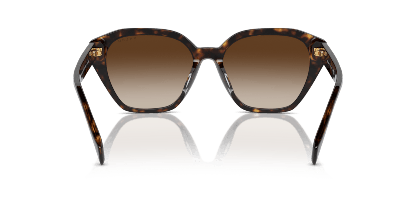 0RA5315U Gradient Brown Shiny Dark Havana 8056262009772