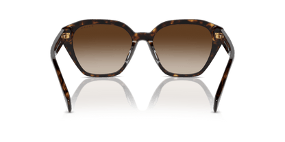 0RA5315U Gradient Brown Shiny Dark Havana 8056262009772