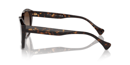 0RA5315U Gradient Brown Shiny Dark Havana 8056262009772