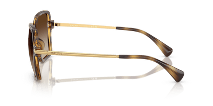 0RA5319U Gradient Brown Shiny Dark Havana 8056262226094