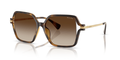 0RA5319U Gradient Brown Shiny Dark Havana 8056262226094