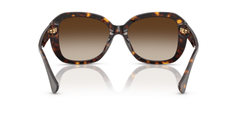 0RA5321U Gradient Brown Shiny Brown Havana 8056262226179