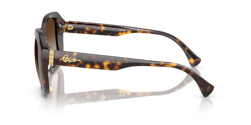 0RA5321U Gradient Brown Shiny Brown Havana 8056262226179