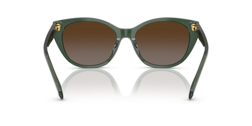 0RA5324U Polar Gradient Brown Shiny Transparent Green 8056262226629