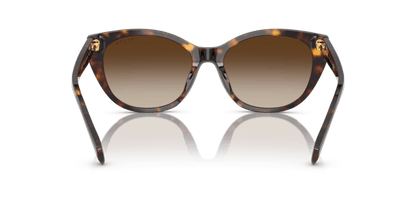 0RA5324U Gradient Brown Shiny Dark Havana 8056262226582