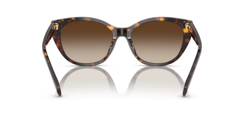 0RA5324U Gradient Brown Shiny Dark Havana 8056262226582