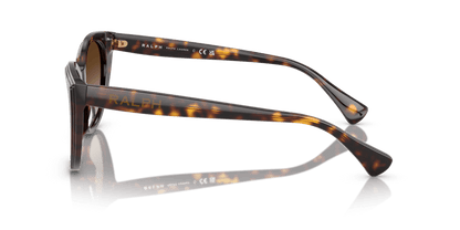 0RA5324U Gradient Brown Shiny Dark Havana 8056262226582