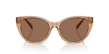 0RA5324U Brown Shiny Transparent Brown 8056262303016