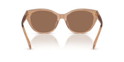 0RA5324U Brown Shiny Transparent Brown 8056262303016