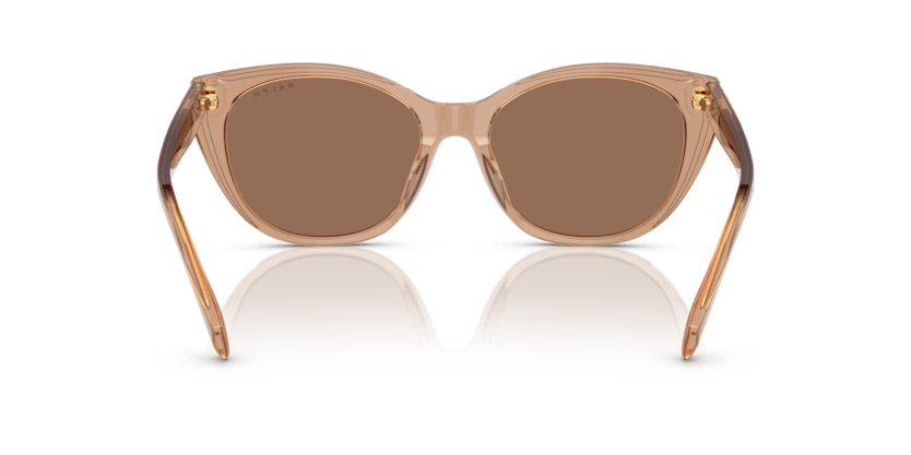 0RA5324U Brown Shiny Transparent Brown 8056262303016