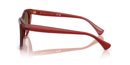 0RA5324U Gradient Brown Shiny Transparent Burgundy 8056262226650