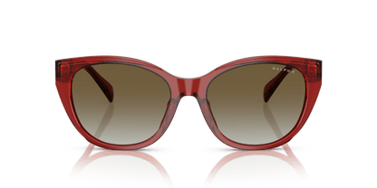 0RA5324U Gradient Brown Shiny Transparent Burgundy 8056262226650