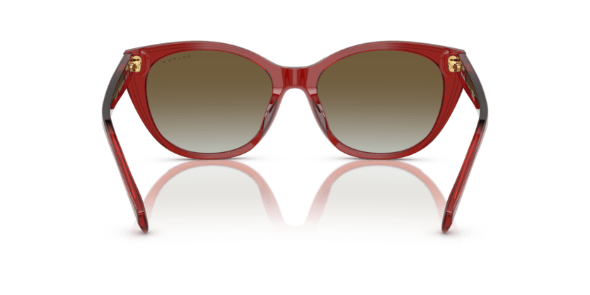 0RA5324U Gradient Brown Shiny Transparent Burgundy 8056262226650