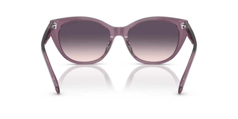 0RA5324U Gradient Violet Shiny Transparent Violet 8056262226636