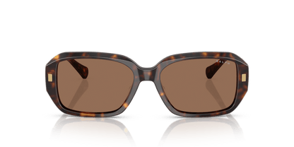 0RA5325U Brown Shiny Dark Havana 8056262226285