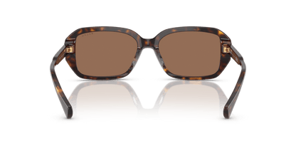 0RA5325U Brown Shiny Dark Havana 8056262226285