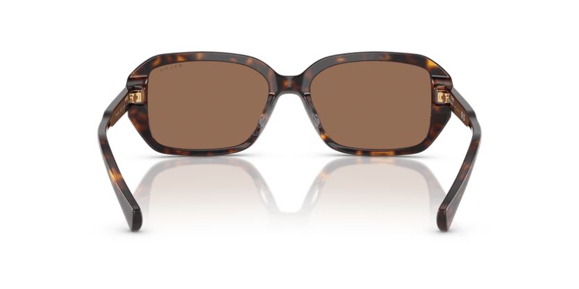 0RA5325U Brown Shiny Dark Havana 8056262226285