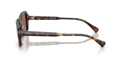 0RA5325U Brown Shiny Dark Havana 8056262226285