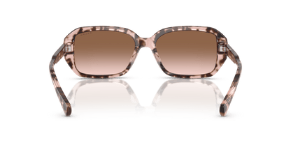 0RA5325U Gradient Brown Shiny Rose Havana 8056262226322