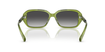 0RA5325U Gradient Grey Shiny Transparent Green 8056262226360