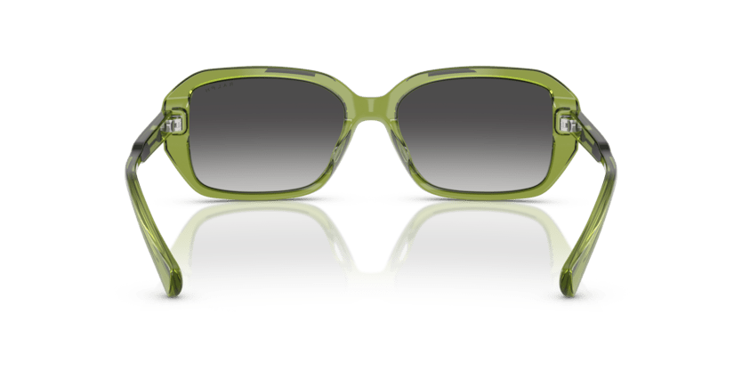 0RA5325U Gradient Grey Shiny Transparent Green 8056262226360