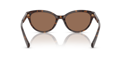 0RA5326U Brown Shiny Dark Havana 8056262226384