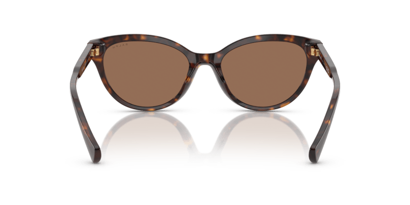 0RA5326U Brown Shiny Dark Havana 8056262226384