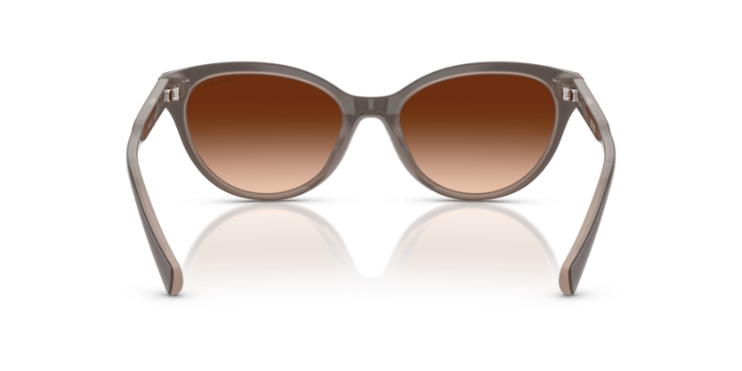 0RA5326U Gradient Brown Solid Brown Milky Brown 8056262226407