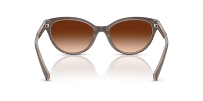 0RA5326U Gradient Brown Solid Brown Milky Brown 8056262226407