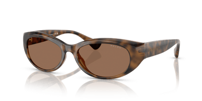 0RA5327U Dark Brown Shiny Dark Havana 7895653317772