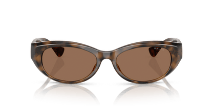 0RA5327U Dark Brown Shiny Dark Havana 7895653317772