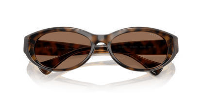 0RA5327U Dark Brown Shiny Dark Havana 7895653317772